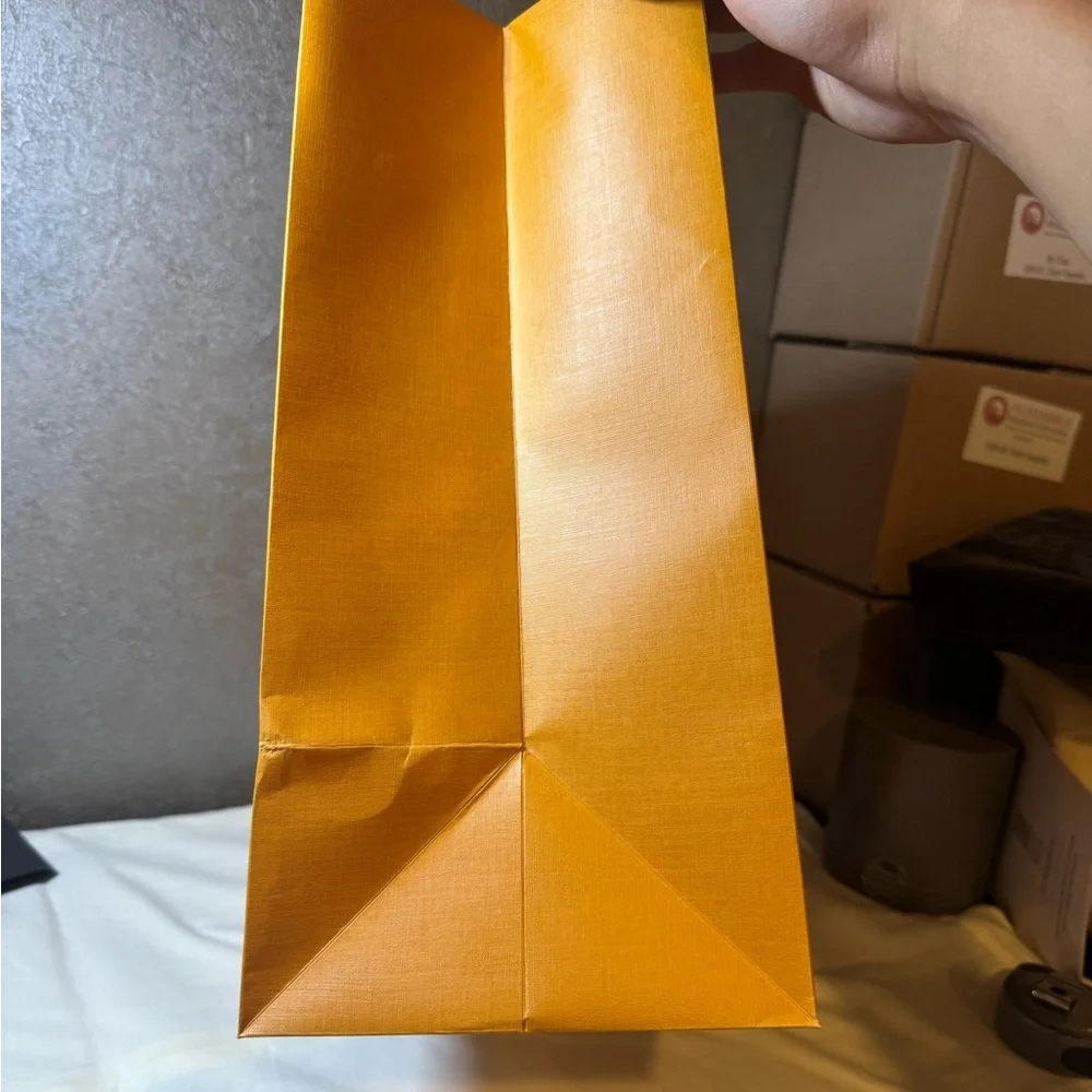 Louis Vuitton gift bag